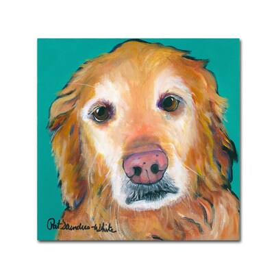 Trademark Fine Art Pat Saunders-White Maevis 18 x 18 Canvas Stretched (190836061167)