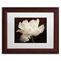 Trademark Fine Art Cora Niele White Tulip II 11 x 14 Matted Framed (190836311866)