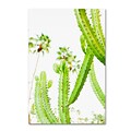 Trademark Fine Art Ariane Moshayedi Cactus Palm 12 x 19 Canvas Stretched (190836265541)
