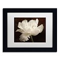 Trademark Fine Art Cora Niele White Tulip II 11 x 14 Matted Framed (190836311743)