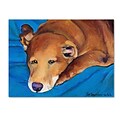 Trademark Fine Art Pat Saunders-White Blue Blanket 14 x 19 Canvas Stretched (190836057313)