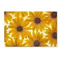Trademark Fine Art Cora Niele Yellow Cape Daisies 12 x 19 Canvas Stretched (190836312320)