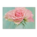 Trademark Fine Art Cora Niele Pink Roses 12 x 19 Canvas Stretched (190836260225)