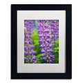 Trademark Fine Art Cora Niele Blue Violet Lupine Flower 11 x 14 Matted Framed (190836247646)