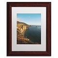 Trademark Fine Art Ariane Moshayedi Big Sur Vista 11 x 14 Matted Framed Art Print (190836264384)
