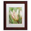 Trademark Fine Art Cora Niele Tulip Primulina 11 x 14 Matted Framed (190836250189)
