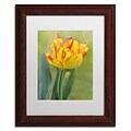 Trademark Fine Art Cora Niele Rembrandt Tulip 11 x 14 Matted Framed (190836249206)