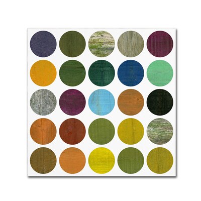 Trademark Fine Art Michelle Calkins Rustic Rounds 5.0 18 x 18 Canvas Stretched Art Print (190836101917)