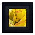 Trademark Fine Art Kurt Shaffer Inside a Beautiful Tulip 11 x 11 Matted Framed (190836000913)