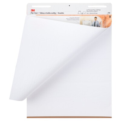 3M Flip Chart Easel Pad, 25 x 30, 40 Sheets/Pad, 2 Pads/Carton (MMM570)