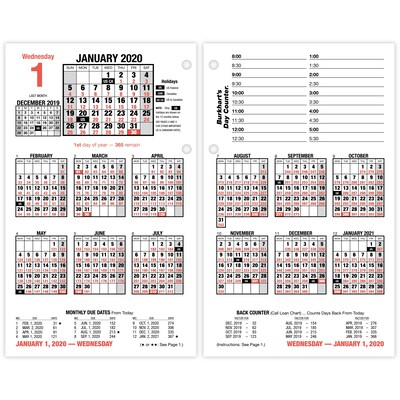 2020 AT-A-GLANCE 4 1/2 x 7 3/8 Day Counter Desk Calendar Refill, Burkharts (E712-50-20)