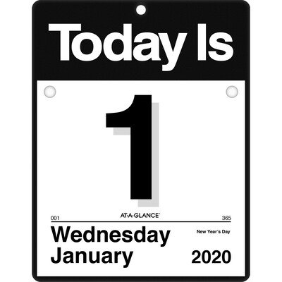 2020 AT-A-GLANCE 9 1/2 x 12 Today Is Daily Wall Calendar (K4-00-20)