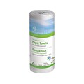 Coastwide Professional™ Kitchen Rolls Paper Towels, 2-Ply, 60 Sheets/Roll, 15 Rolls/Carton (CW20185)