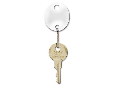 MMF Industries Key Tags, White, 20/Pack (201800706)