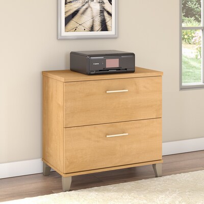 Bush Furniture Somerset 2-Drawer Lateral File Cabinet, Letter/Legal Size, 29.11H x 29.57W x 21.65