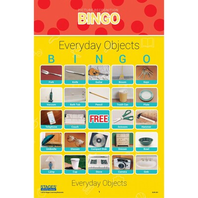 Stages Learning Materials Picture Recognition Bingo Games, Set of 5 (SLM997)