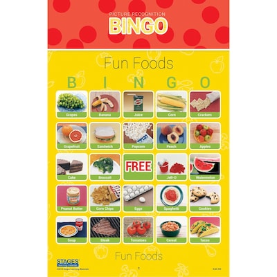 Stages Learning Materials Picture Recognition Bingo Games, Set of 5 (SLM997)