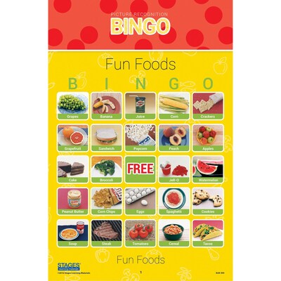 Stages Learning Materials Picture Recognition Bingo Games, Set of 5 (SLM997)