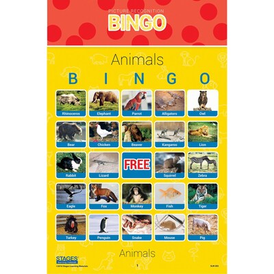 Stages Learning Materials Picture Recognition Bingo Games, Set of 5 (SLM997)