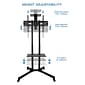 Mount-It! Steel Mobile TV Cart Stand, Black (MI-876)