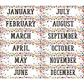 Teacher Created Resources Confetti Monthly Headliners, 3 Packs of 12 (TCR8803BN)