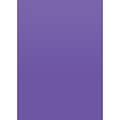 Teacher Created Resources Ultra Purple Better Than Paper Bulletin Board Roll 4-Pack (TCR32207)