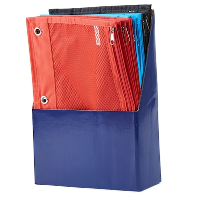 Charles Leonard Zipper Binder Pencil Pouch, Assorted Colors, 24/Pack (CHL76330ST)