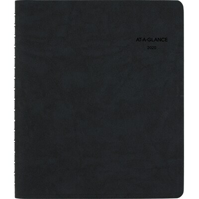 2020 AT-A-GLANCE 6-1/2 x 8-3/4 Daily Appointment Book/Planner The Action Planner, Black (70-EP03-05-20)