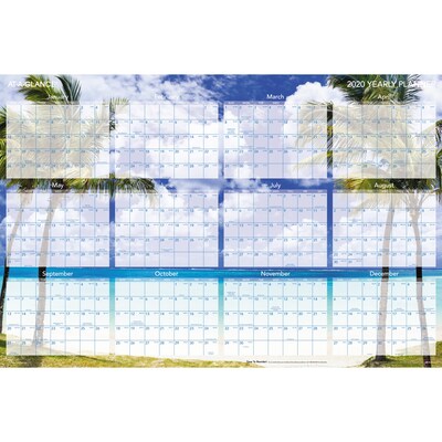 2020 AT-A-GLANCE 24 x 36 Horizontal Erasable Yearly Wall Calendar Tropical Escape (DMWTEE-28-20)