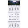 2020 AT-A-GLANCE 12 x 27 3-Month Wall Calendar Scenic (DMW503-28-20)
