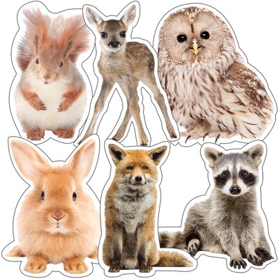 Schoolgirl Style Woodland Whimsy Animals Cut-Outs (120564)
