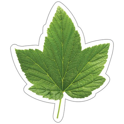 Schoolgirl Style Woodland Whimsy Green Leaf Cut-Outs (120568)
