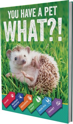 You Have a Pet What?! By Rourke Educational Media, Paperback (705304)