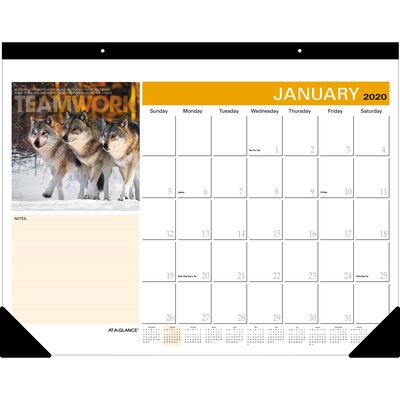 2020 At A Glance 21 3 4 X 17 Successories Motivational Desk Pad