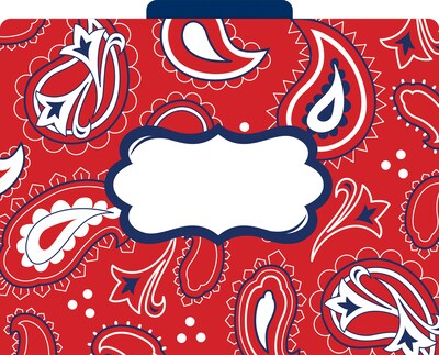 Barker Creek Bandana File Folder, 1/3-Cut Tab, Letter Size, Multicolor, 36/Set (BC3916)