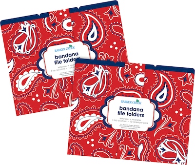 Barker Creek Bandana File Folder, 1/3-Cut Tab, Letter Size, Multicolor, 24/Set (BC3943)
