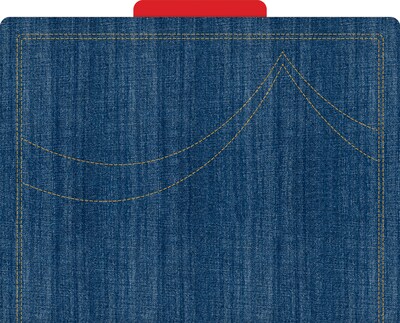 Barker Creek Denim File Folder, 1/3-Cut Tab, Letter Size, Multicolor, 24/Set (BC3942)