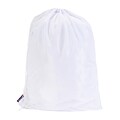 Woolite Sanitized Mesh Laundry Bag (W-82474)