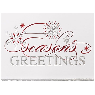 JAM Paper® Blank Christmas Cards Set, Snowflake Greeting, 25/Pack (526M1158WB)