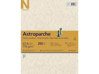 Astroparche 65 lb. Cardstock Paper, 8.5 x 11, Natural, 250 Sheets/Pack (26428/27428)