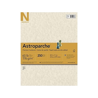 Astrobrights 65 lb. Cardstock Paper, 8.5 x 11, Stardust White, 250  Sheets/Pack (21408/22401)