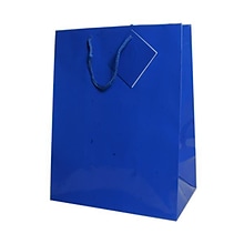 JAM Paper® Glossy Gift Bags, Large, 10 x 13 x 5, Blue, 10 x 13 x 5, 6/pack (673GLbua)