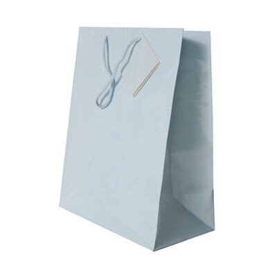 JAM Paper® Glossy Gift Bags, Large, 10 x 13 x 5, Baby Blue, 6/pack (673GLbba)