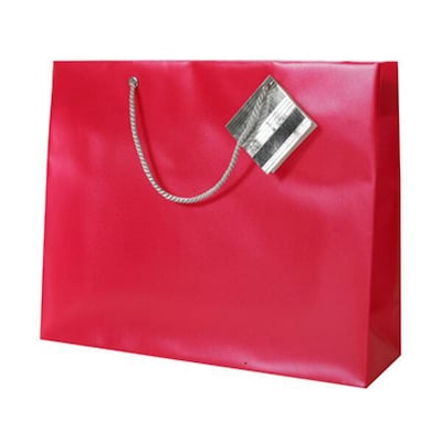 JAM Paper Opaque Gift Bag with Rope Handles, Large, Red, 6 Bags/Pack (462000a)