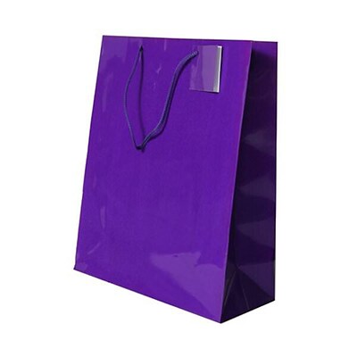 JAM PAPER Glossy Gift Bags with Rope Handles, Large, 10 x 13, Purple, 3 Bags/Pack (673GLPUB)