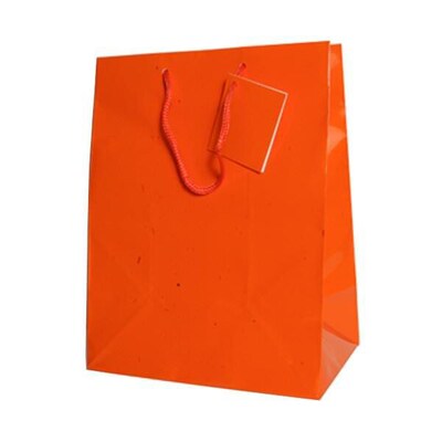 JAM PAPER Glossy Gift Bags with Rope Handles, Large, 10 x 5 x 13, Orange, Bulk 100 Bags/Pack (673GLOR100)