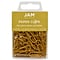 JAM Paper Small Paper Clips, Gold, 100/pack (21832058)