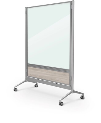 Balt D.O.C. Glass Room Divider, Silver Aluminum Frame, 58" x 46.3" (8201D-8201)