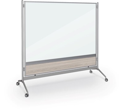Balt D.O.C. Glass Room Divider, Silver Aluminum Frame, 58" x 69.6" (8201G-8201)