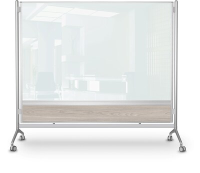 Balt D.O.C. Glass Room Divider, Silver Aluminum Frame, 58" x 69.6" (8201G-8201)